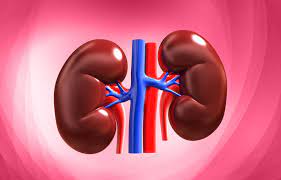 Kidney Doctor