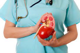 Nephrologist