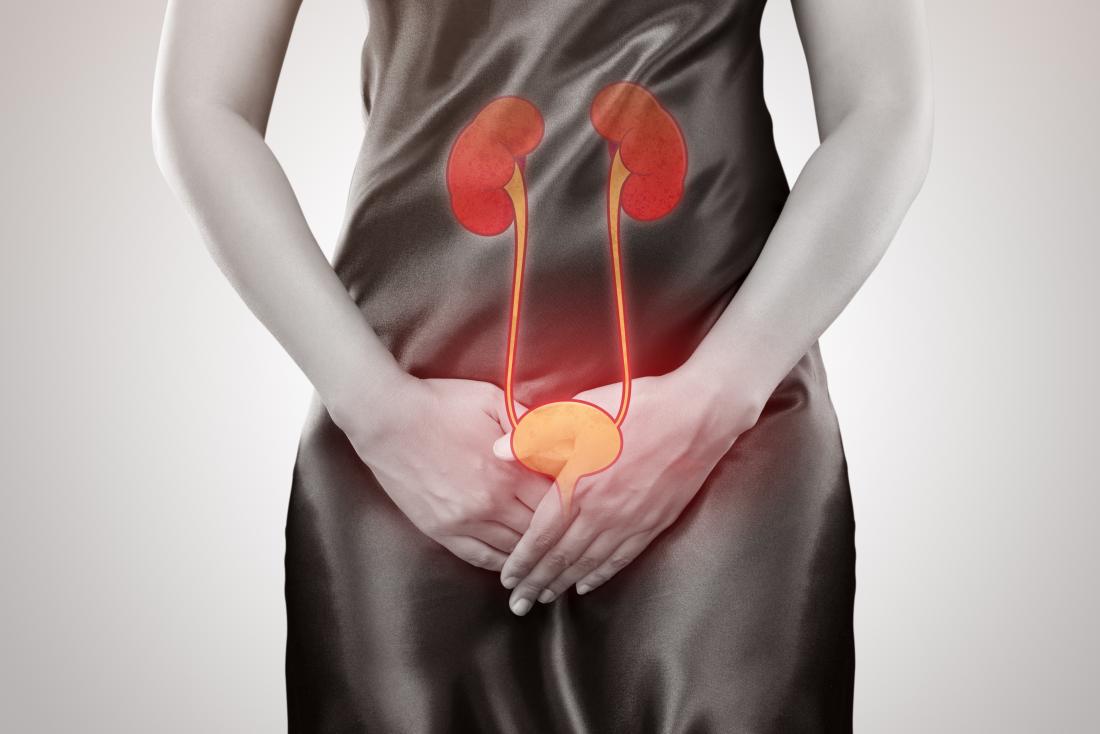 Kidney Doctor