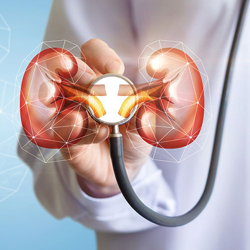 Best Kidney Transplant Doctor